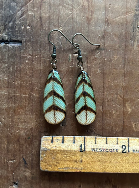Blue Jay Feathers