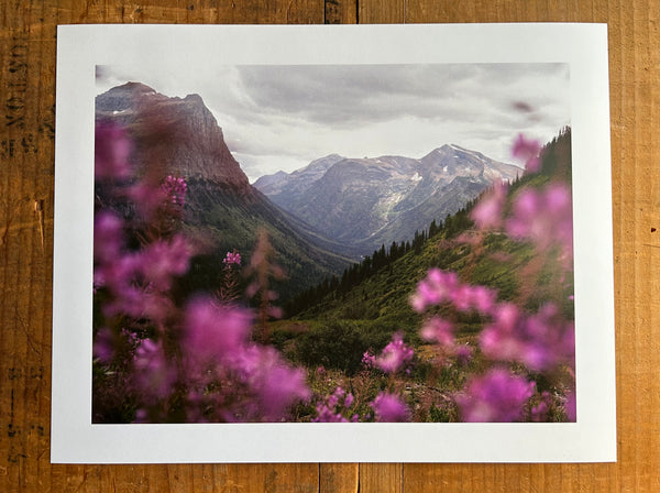 Glacier Flowers