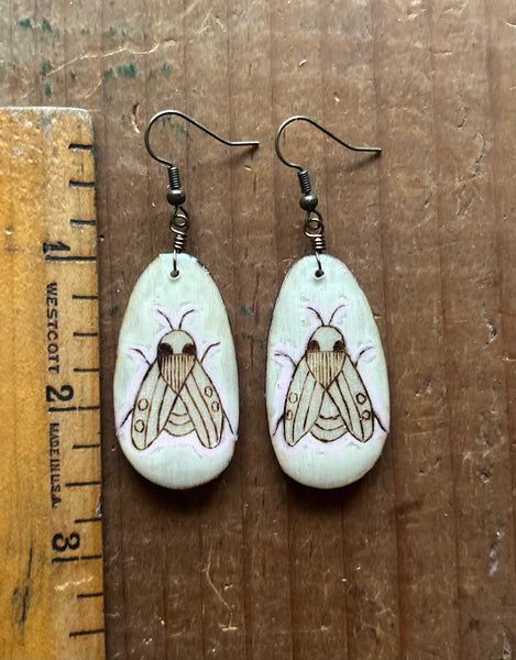 Pink Bugs